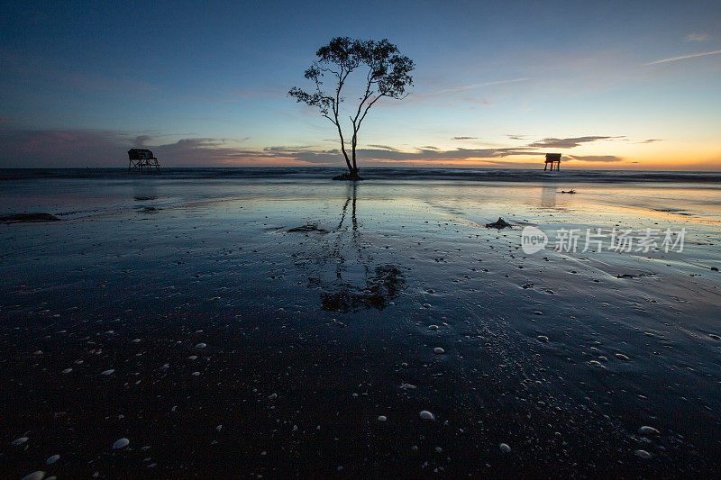 日出在海上与蛤蜊小屋和孤独的软木树，Tan Thanh海滩，天江省
